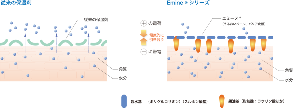 エミーヌ®の皮膚表面（角質）への吸着イメージ（OSFシリーズ）（イメージ）