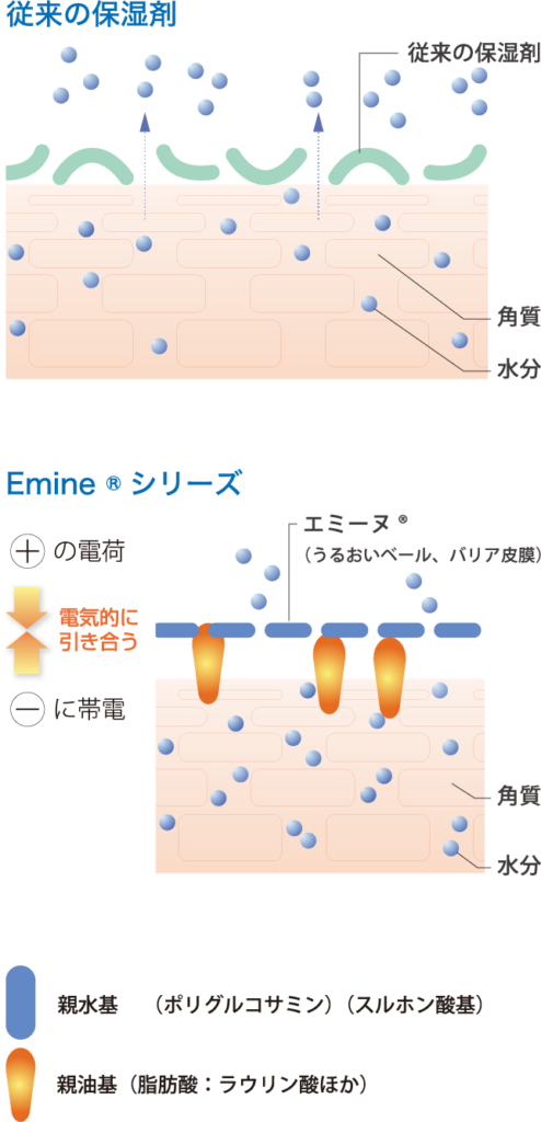 エミーヌ®の皮膚表面（角質）への吸着イメージ（OSFシリーズ）（イメージ）