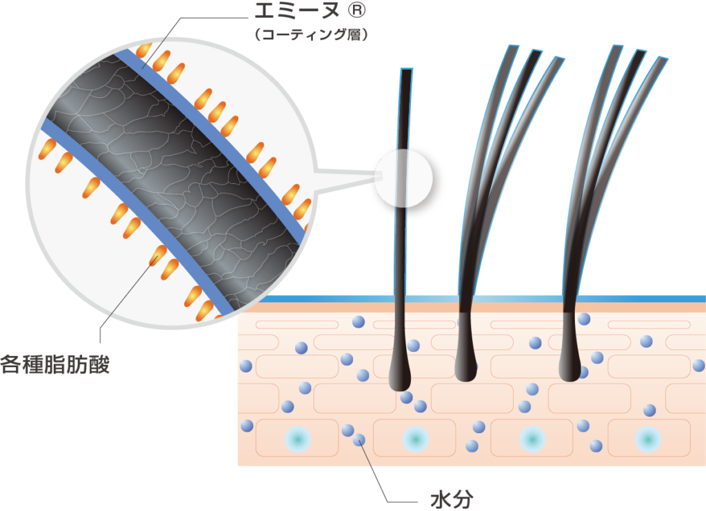 毛髪への効果（イメージ図）
