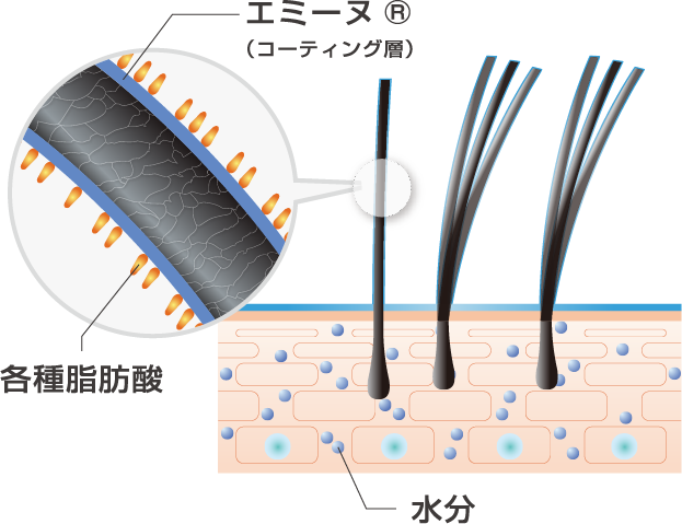 毛髪への効果（イメージ図）