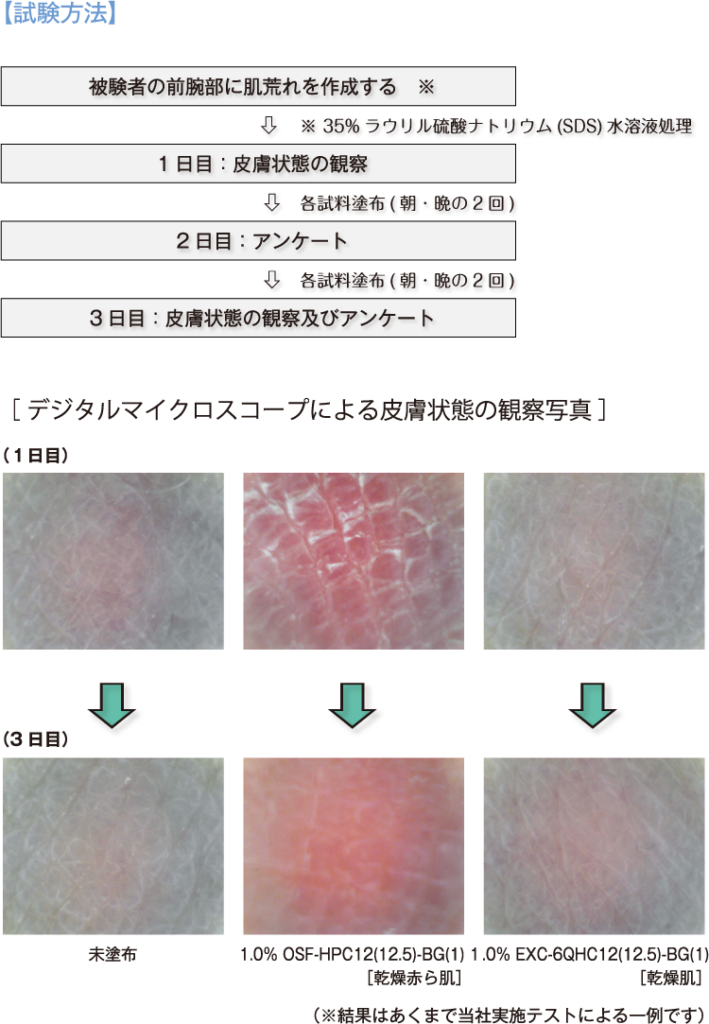 試験方法（図）