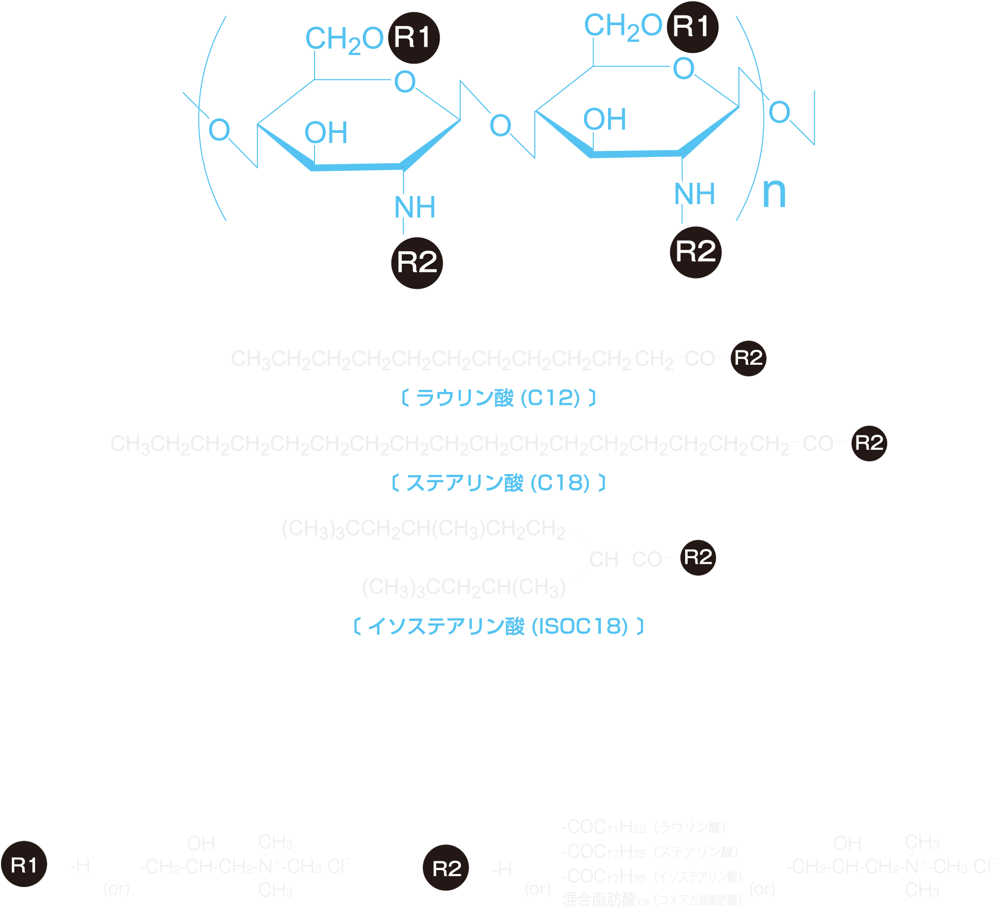 6Qシリーズの構造（図）