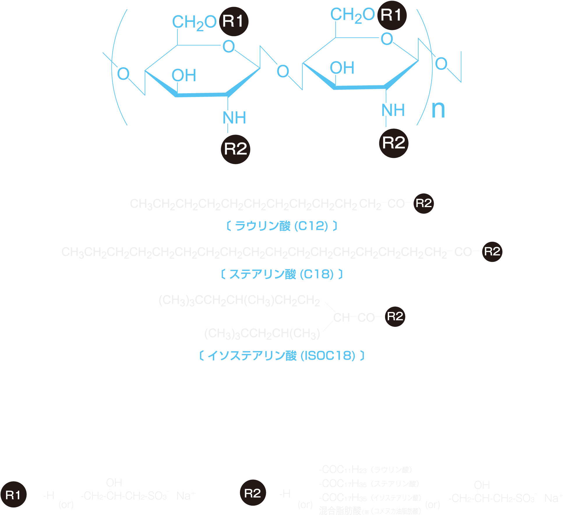 OSFシリーズの構造（図）