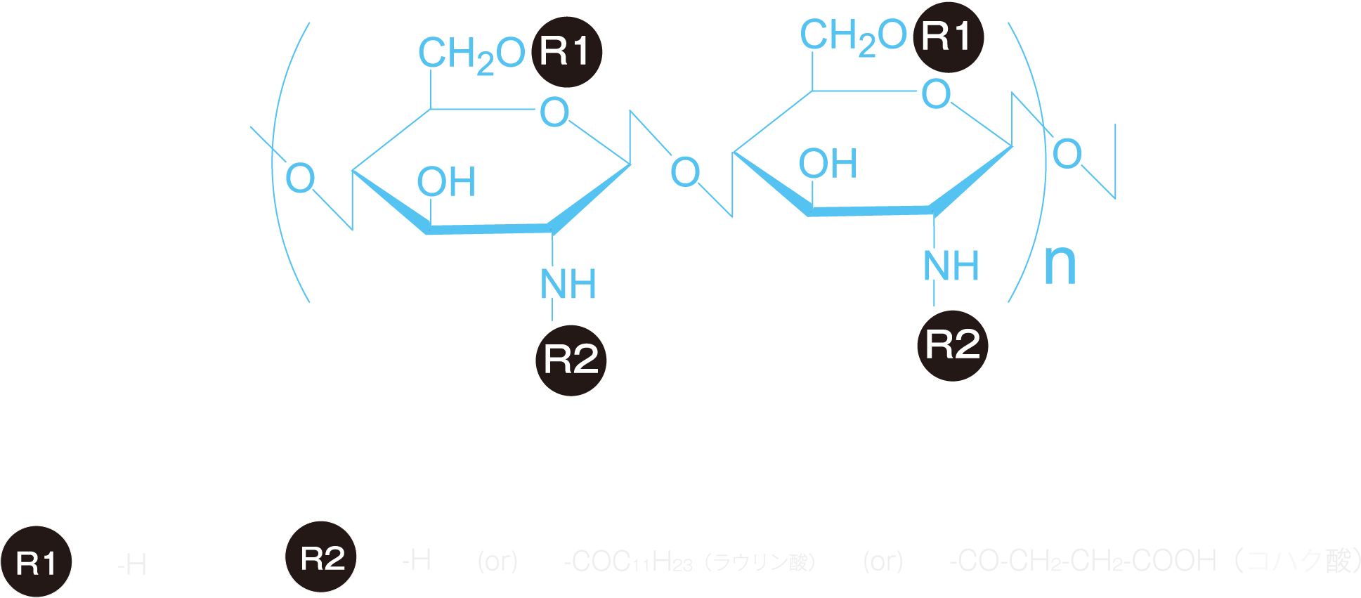 SUCシリーズの構造（図）